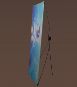 X Display Banner